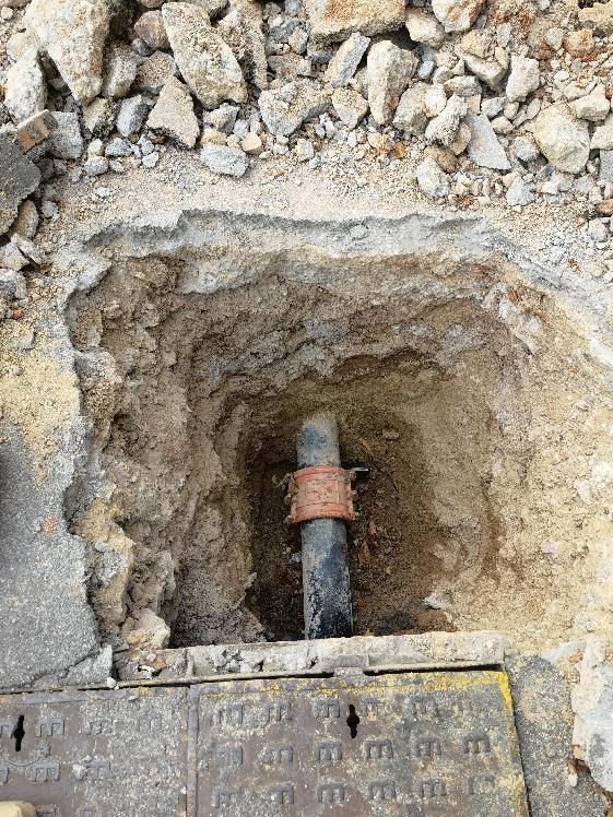 圖片1.png 圖片1.png